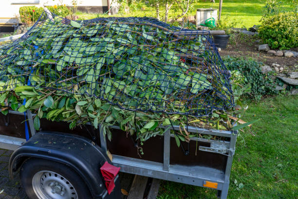 Same-Day Junk Removal Services in College Place, WA